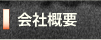 ЊTv